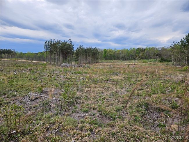 27.35 Acres Prince Edward Highway, Home with 0 bedrooms, 0 bathrooms and null parking in RICE VA | Image 18