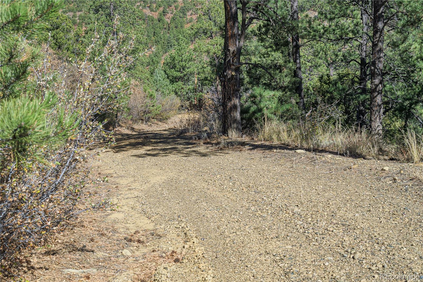 Land in Weston 5