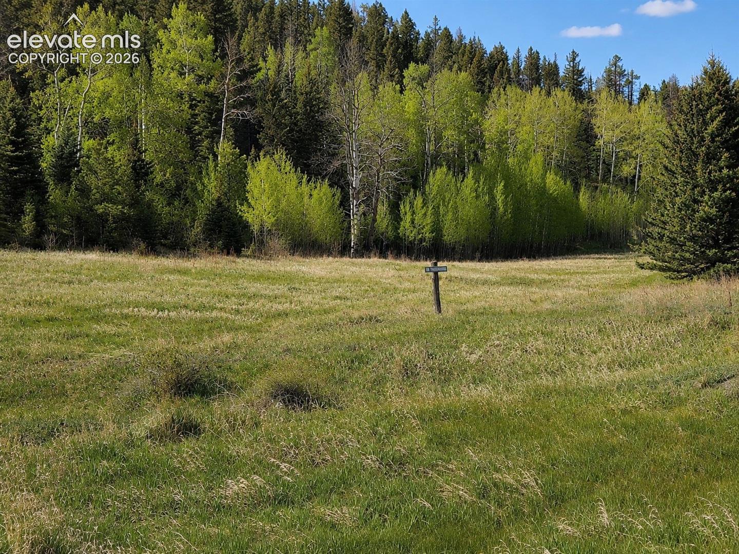 Land in Westcliffe 2