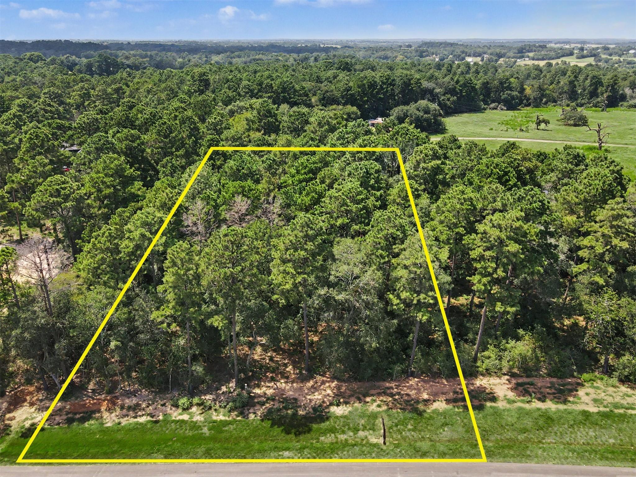Land in Plantersville 2