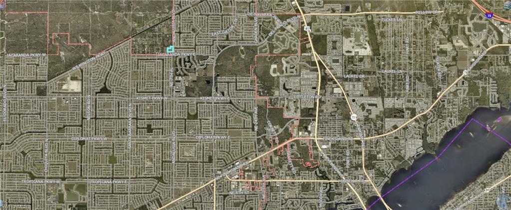 Land in CAPE CORAL 3