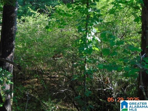 1-0 Onrow Tubbs Rd, Marion, AL, 36756 | Card Image