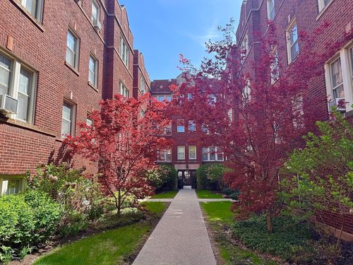1w-242 Maple Ave, Oak Park, IL, 60302-3040 | Card Image