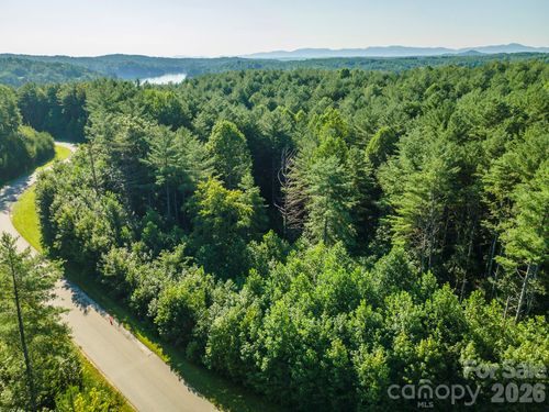 LOT 28 Peninsula Reserve Road, Nebo, NC, 28761 | Card Image