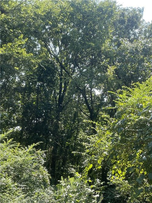 312 Cr 3222 Four Ac, Clarksville, AR, 72830 | Card Image