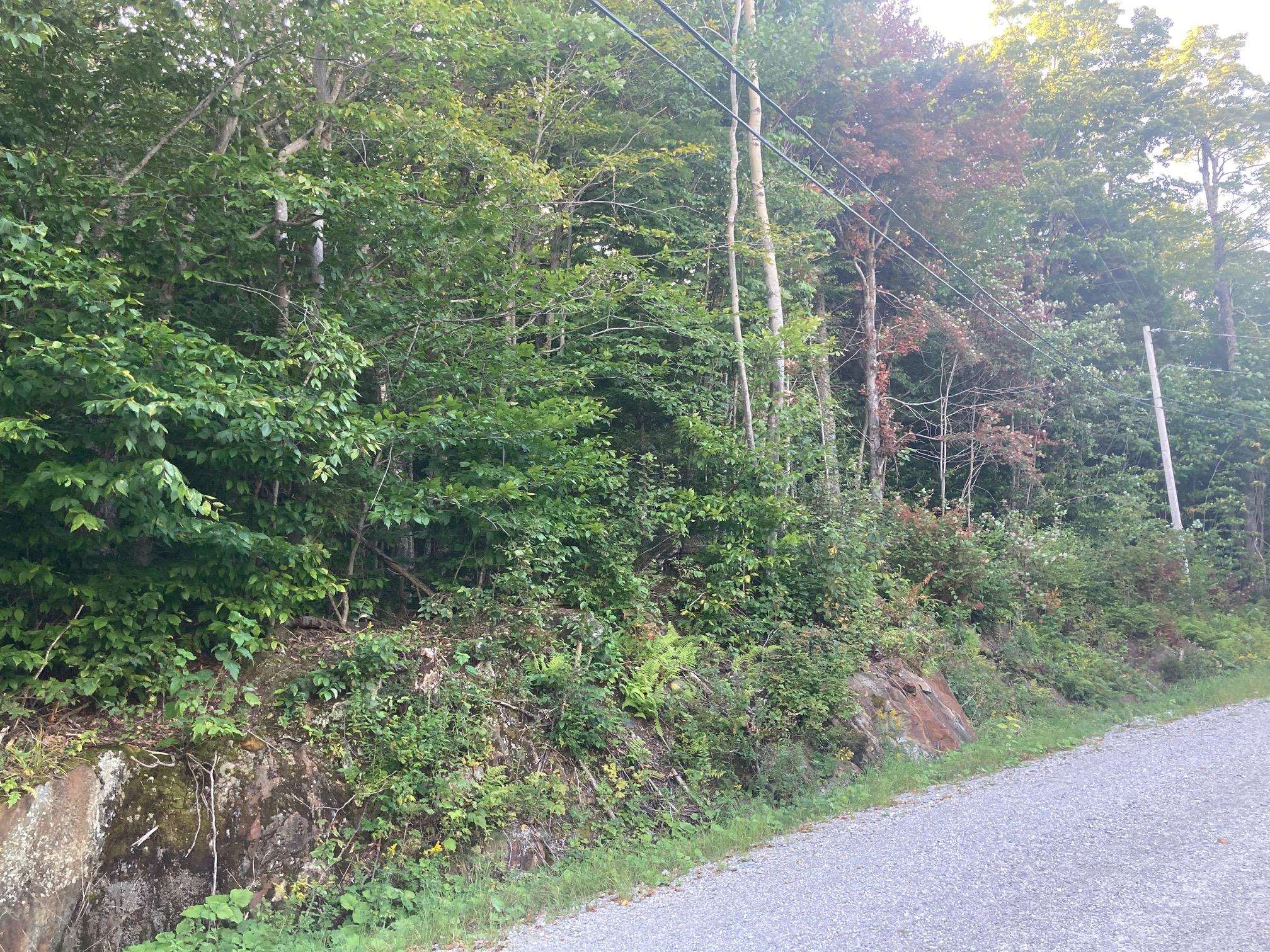 36 Bear Run, For Sale in Killington Zoocasa