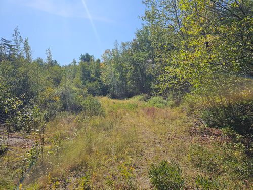 39 Off Eastern Ridge Road, Northfield, ME, 04654 | Card Image