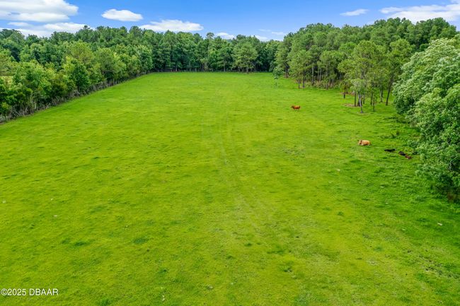 140 Little Brown Church Rd, Home with 3 bedrooms, 2 bathrooms and null parking in Pierson FL | Image 56