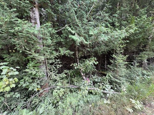 0 Schimmens Rd, Palmer Rapids, ON, K0J2E0 | Card Image