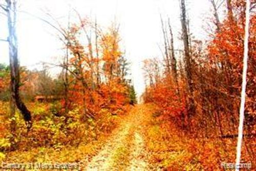 0 Six Pack Trail, Curtis Township, MI, 48737 | Card Image
