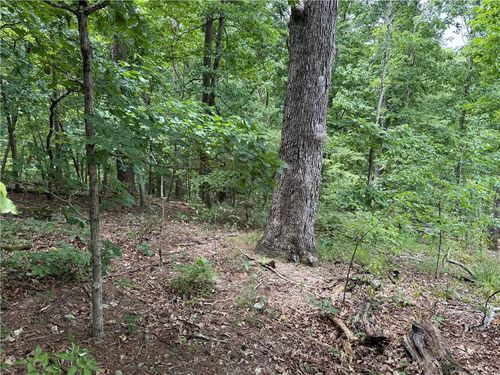 15 Dregg Ln, Bella Vista, AR, 72714-4206 | Card Image