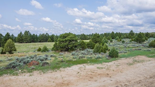 Lot 4 Sunset Ridge Road, Home with 0 bedrooms, 0 bathrooms and null parking in Newcastle WY | Image 12