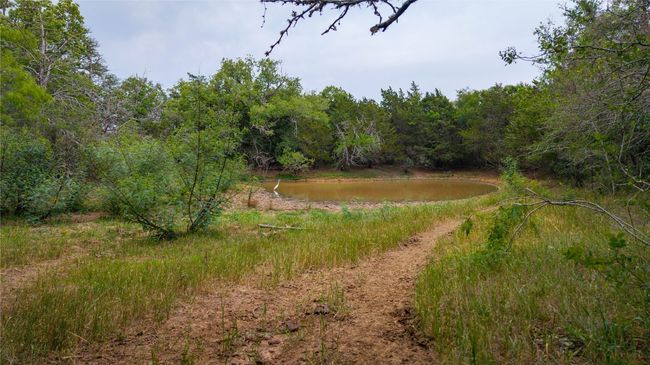 View of woods featuring a water view | Image 20
