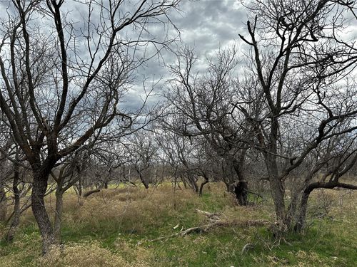 Tract 13 AC Cr 105, Abilene, TX, 79601 | Card Image