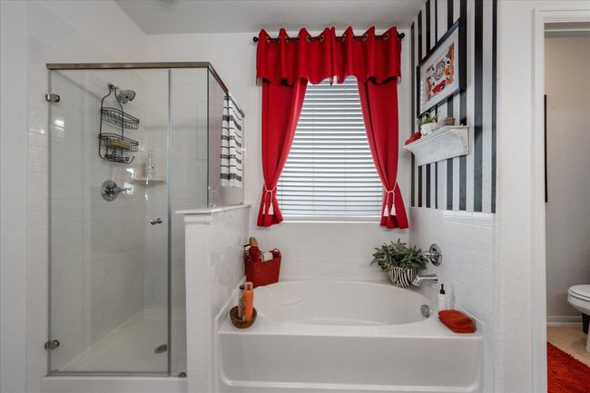 181 Durian Loop, House other with 3 bedrooms, 2 bathrooms and null parking in Buda TX | Image 12