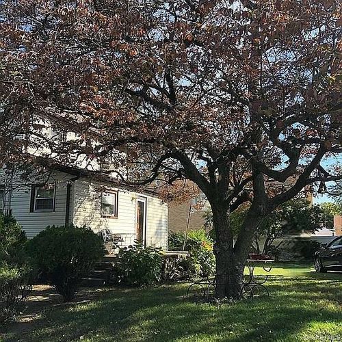 16702 73rd Ave, Fresh Meadows, NY, 11366-1316 | Card Image