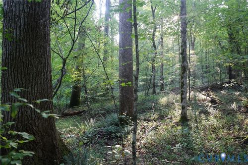 0 Redlawn Rd, Boydton, VA, 23917 | Card Image