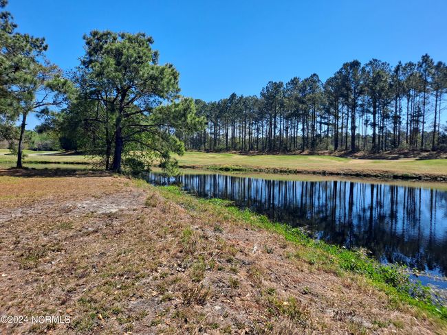 8803 Carenden Ct, Home with 0 bedrooms, 0 bathrooms and null parking in Sunset Beach NC | Image 8