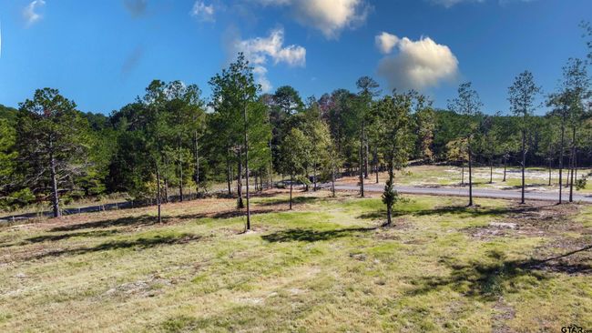 15538 Aniston Ln, Home with 0 bedrooms, 0 bathrooms and null parking in Flint TX | Image 34