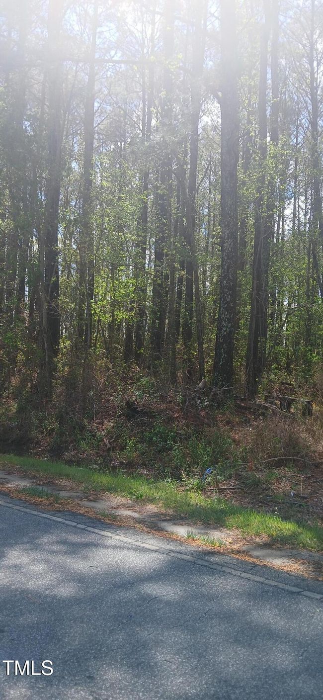 Vancant Lot | Image 5