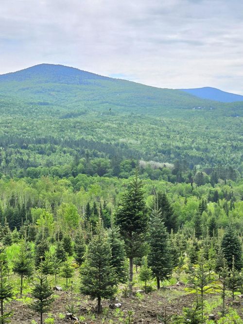 374 Crank Rd, Bloomfield, VT, 05905 | Card Image