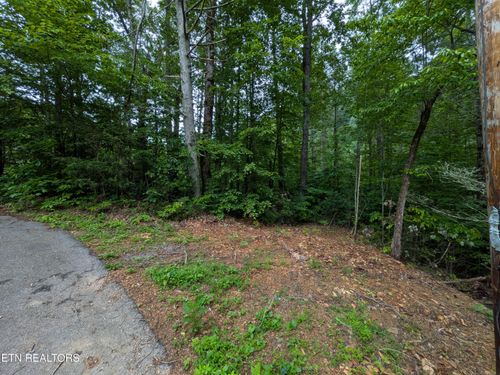 438 Kurts Corner Rd, Townsend, TN, 37882-3639 | Card Image