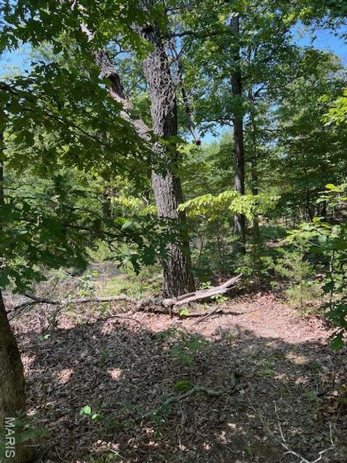 TBD Minx Valley Dr, Roach, MO, 65787 | Card Image