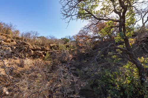 0 County Road 441, Sweetwater, TX, 79556 | Card Image