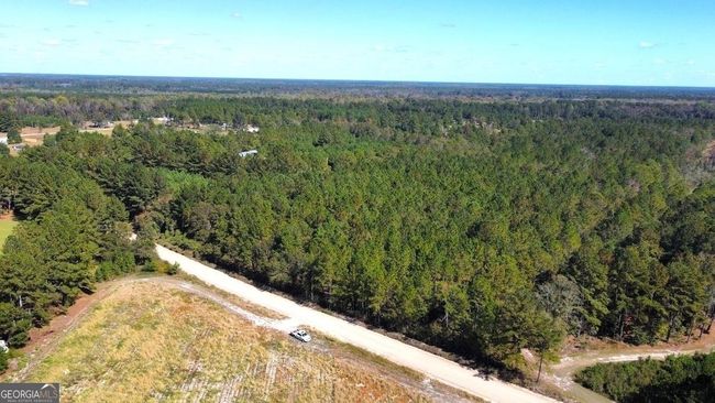 19816-ACRES - 0 Old Happy Rd, Home with 0 bedrooms, 0 bathrooms and null parking in Brooklet GA | Image 8