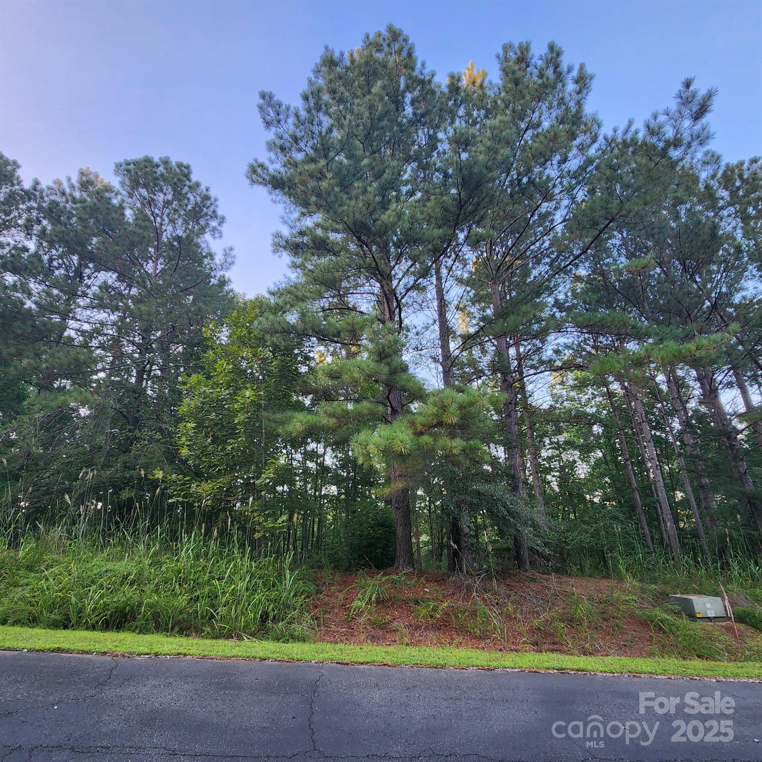 Land in Mooresboro 5