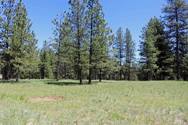 43529 Yellow Pine Ave, House other with 2 bedrooms, 2 bathrooms and 2 parking in Winchester ID | Image 39