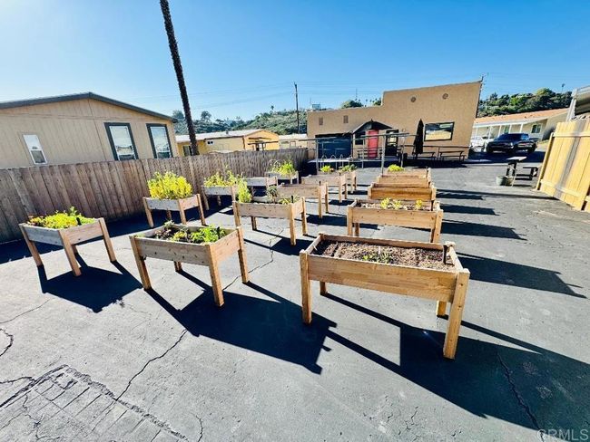 Community Garden | Image 46