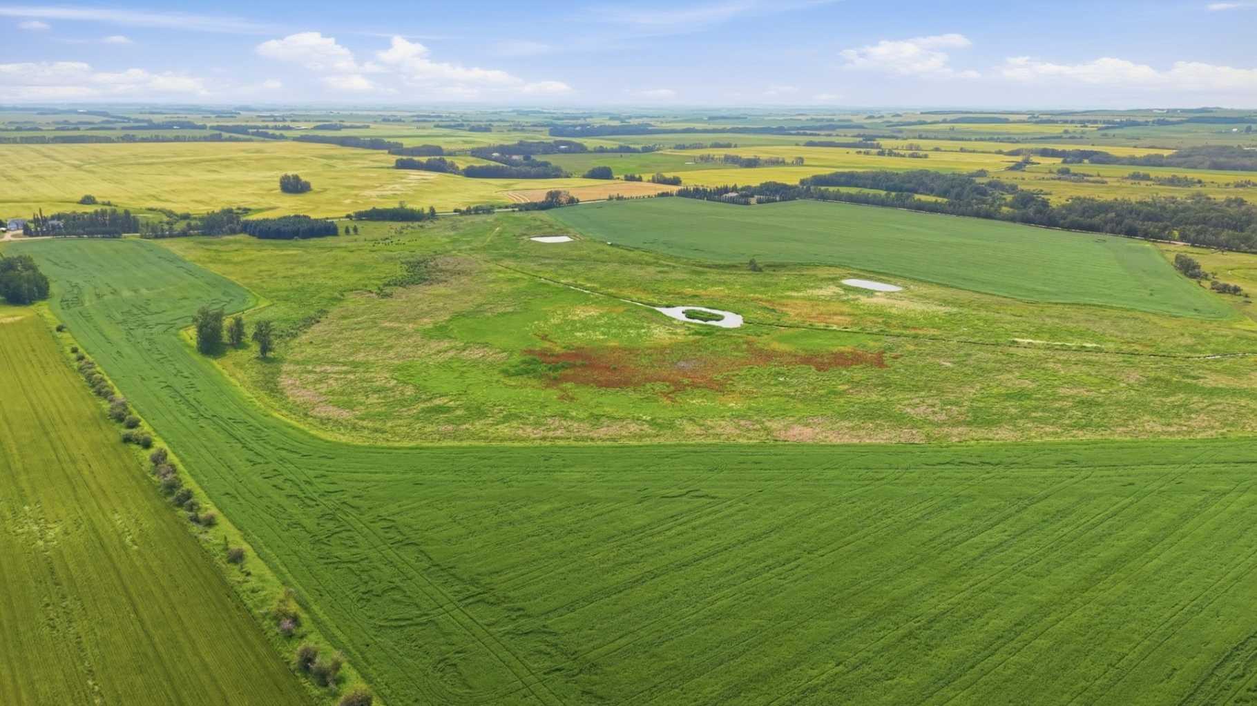 Land in Rural Red Deer County 3