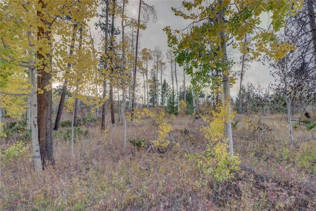 View of nature | Image 18