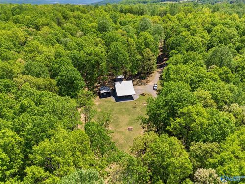 6651 County Road 107, Scottsboro, AL, 35768-5519 | Card Image