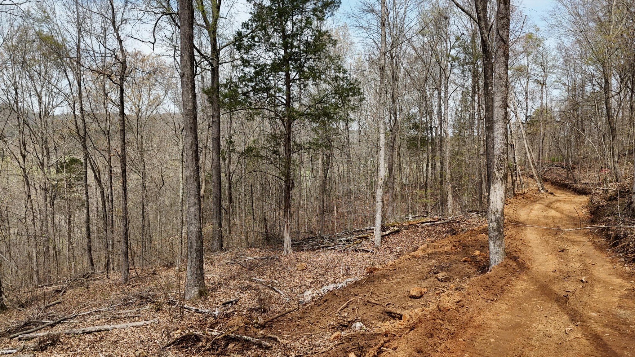 Land in Decatur 4