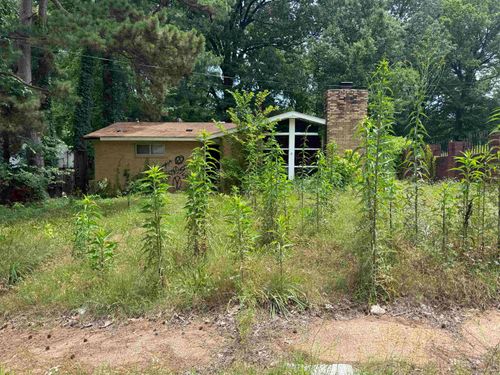 3522 Debby Dr, Memphis, TN, 38127 | Card Image