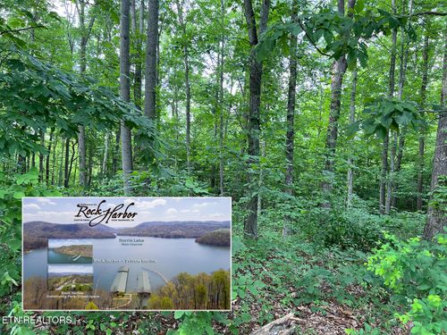 Lot 240 Tanzanite Trl, New Tazewell, TN, 37825 | Card Image