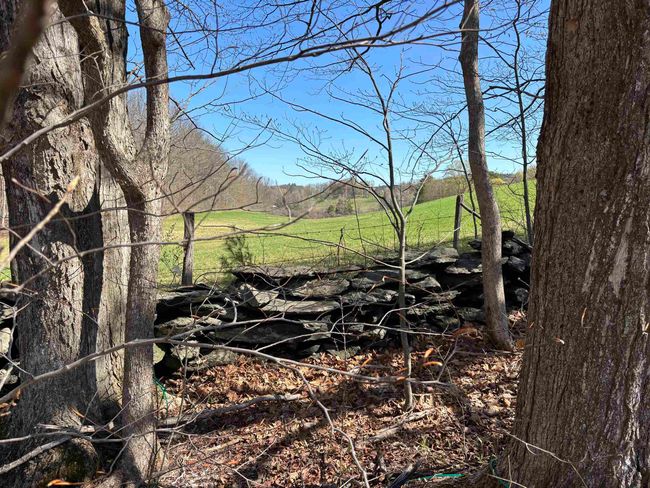 0 Westminster Rd, Home with 0 bedrooms, 0 bathrooms and null parking in Putney VT | Image 12