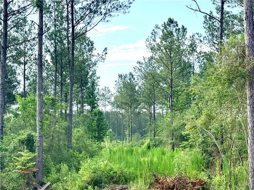 Lot2-B 3.08ac Lee Road, Franklinton, LA, 70438 | Card Image