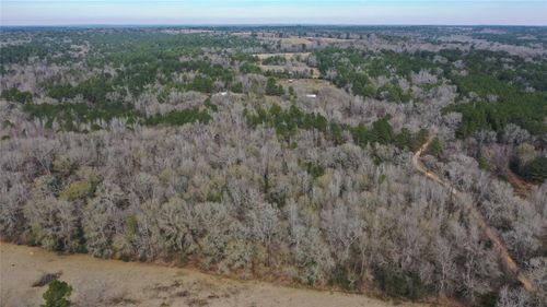 TBD24 AC County Road 2240, Grapeland, TX, 75844 | Card Image
