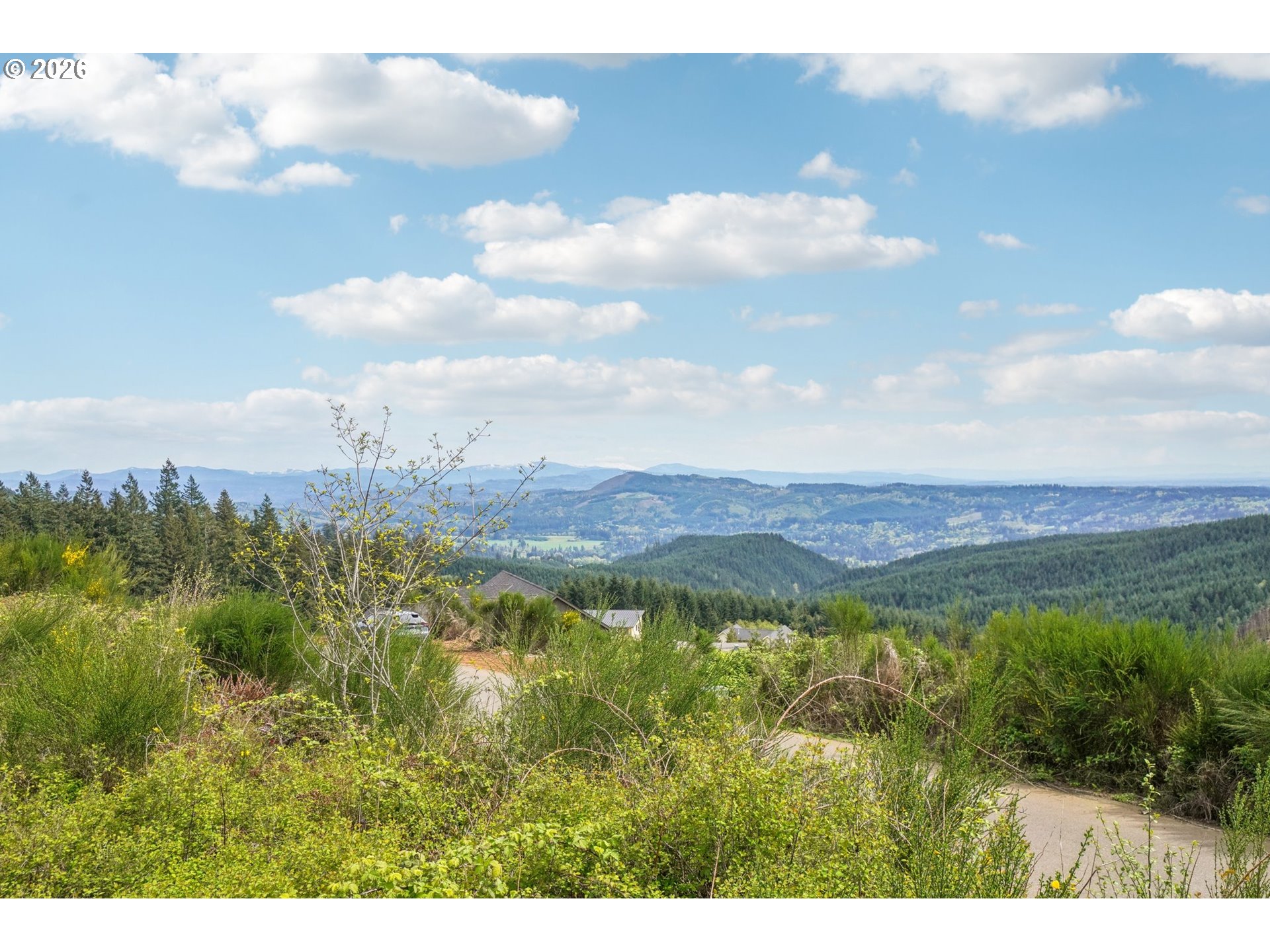 Land in Woodland 2