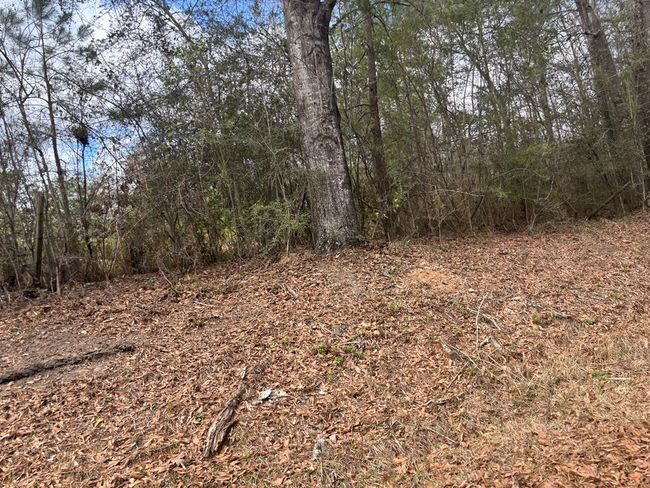 101 Will Thompson Rd, Home with 0 bedrooms, 0 bathrooms and null parking in Picayune MS | Image 18