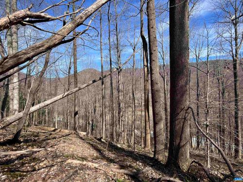 TBD Beech Grove Rd, ROSELAND, VA, 22967 | Card Image