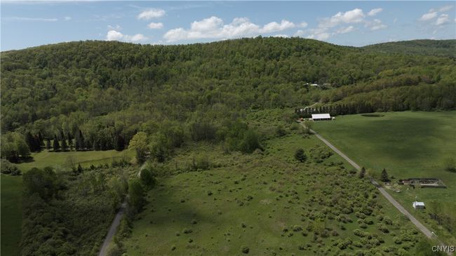 4529 State Highway 28, Home with 0 bedrooms, 0 bathrooms and 10 parking in Hartwick NY | Image 17