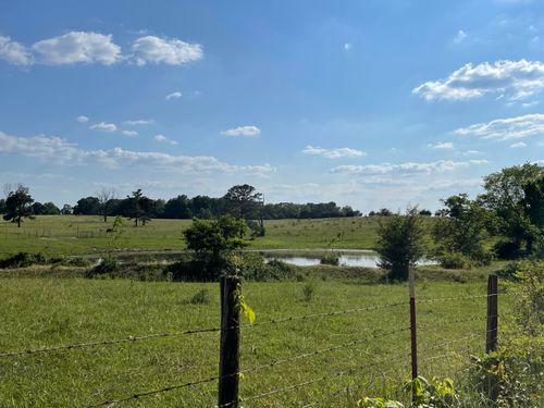 000 County Road 4300, West Plains, MO, 65775 | Card Image