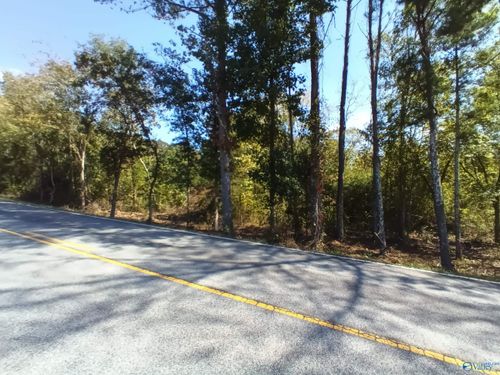 Highway 49E Bluff City Road, Somerville, AL, 35670 | Card Image