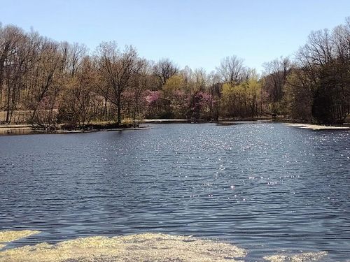 420 Lake Valley Dr, Seymour, MO, 65746-6213 | Card Image