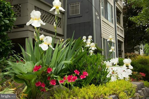 916-916 Windbrooke Dr, GAITHERSBURG, MD, 20879-3251 | Card Image