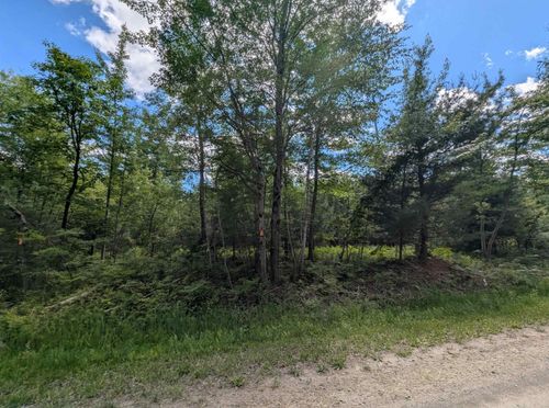 N/A Bordeau Rd, Standish, MI, 48658 | Card Image